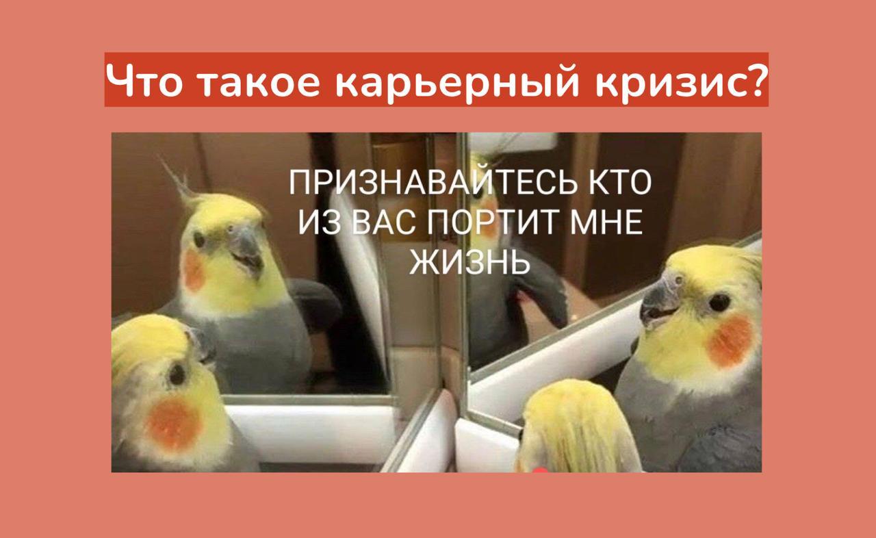 Говорим про карьерные кризисы и их преодоление 4 августа в 19:00 МСК
Уже сегодня | Сетка — социальная сеть от hh.ru