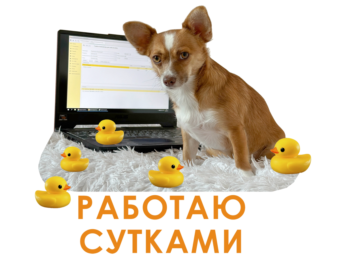 Встречали трудоголиков? | Сетка — социальная сеть от hh.ru