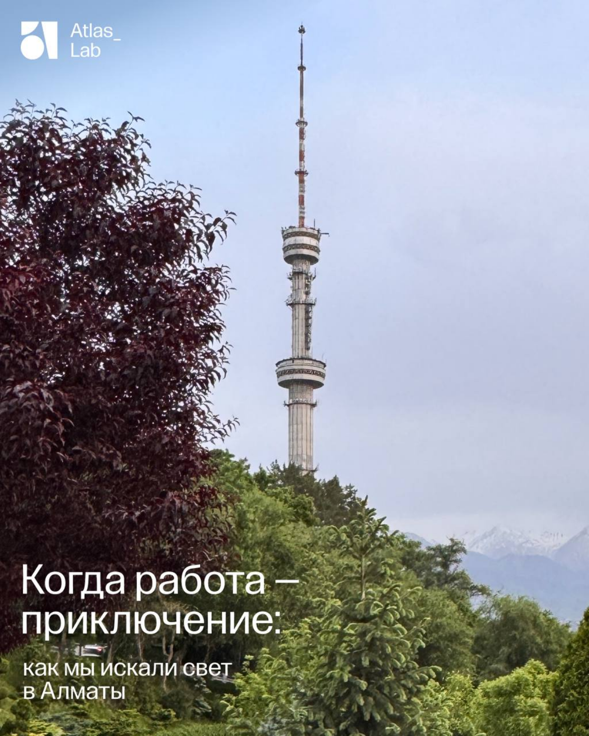 ✨ Когда работа — приключение: как мы искали свет в Алматы | Сетка — социальная сеть от hh.ru