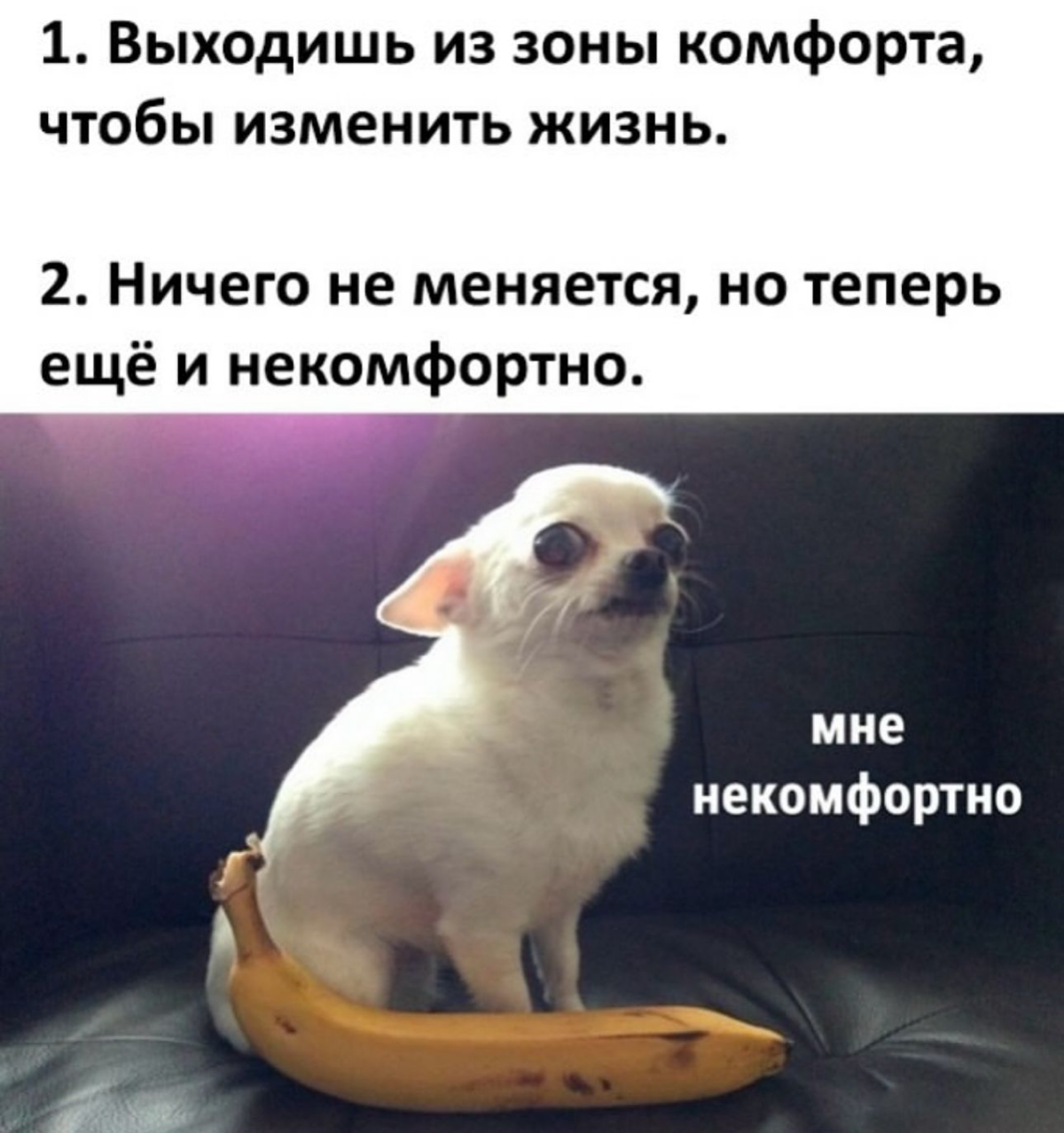 Если тебе 35+, найти работу - тот еще квест ? | Сетка — социальная сеть от hh.ru
