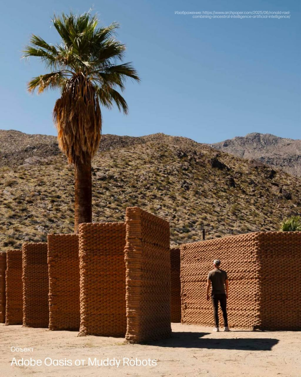 🏜️ Выставка в пустыне и «напечатанные» дома: | Сетка — социальная сеть от hh.ru