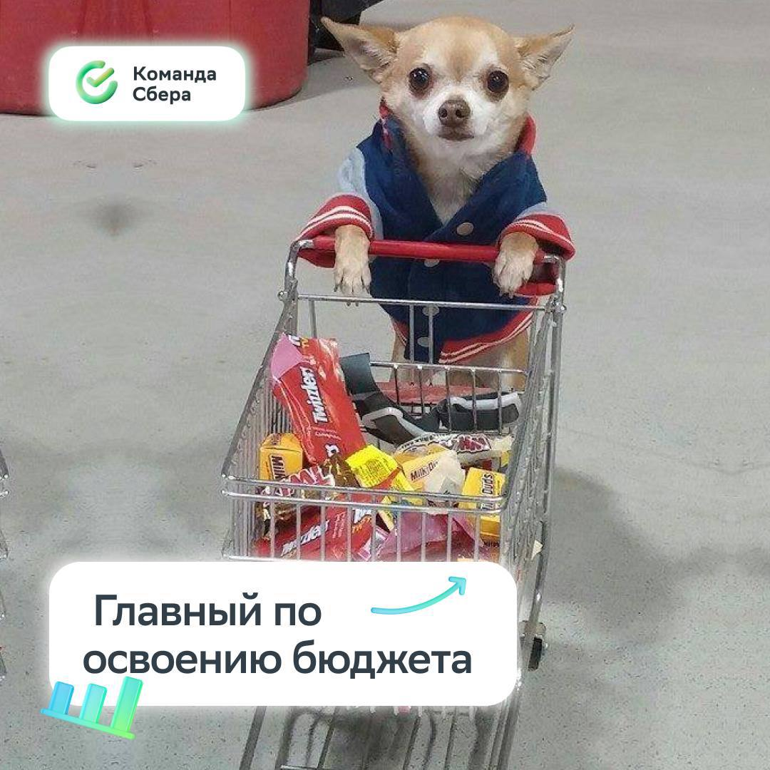 Кто-то: Идеальных профессий не существует
Также профессии:
Листай карточки и пиши в комментариях, какая должность подходит тебе! | Сетка — социальная сеть от hh.ru