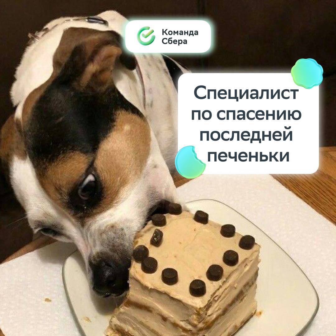 Кто-то: Идеальных профессий не существует
Также профессии:
Листай карточки и пиши в комментариях, какая должность подходит тебе! | Сетка — социальная сеть от hh.ru