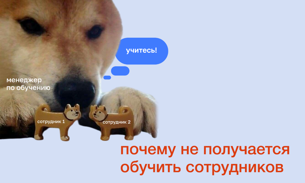 Почему, иногда, не получается обучить сотрудников | Сетка — социальная сеть от hh.ru
