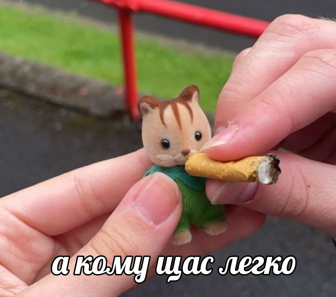 Я хочу быть водителем трамвая! | Сетка — социальная сеть от hh.ru