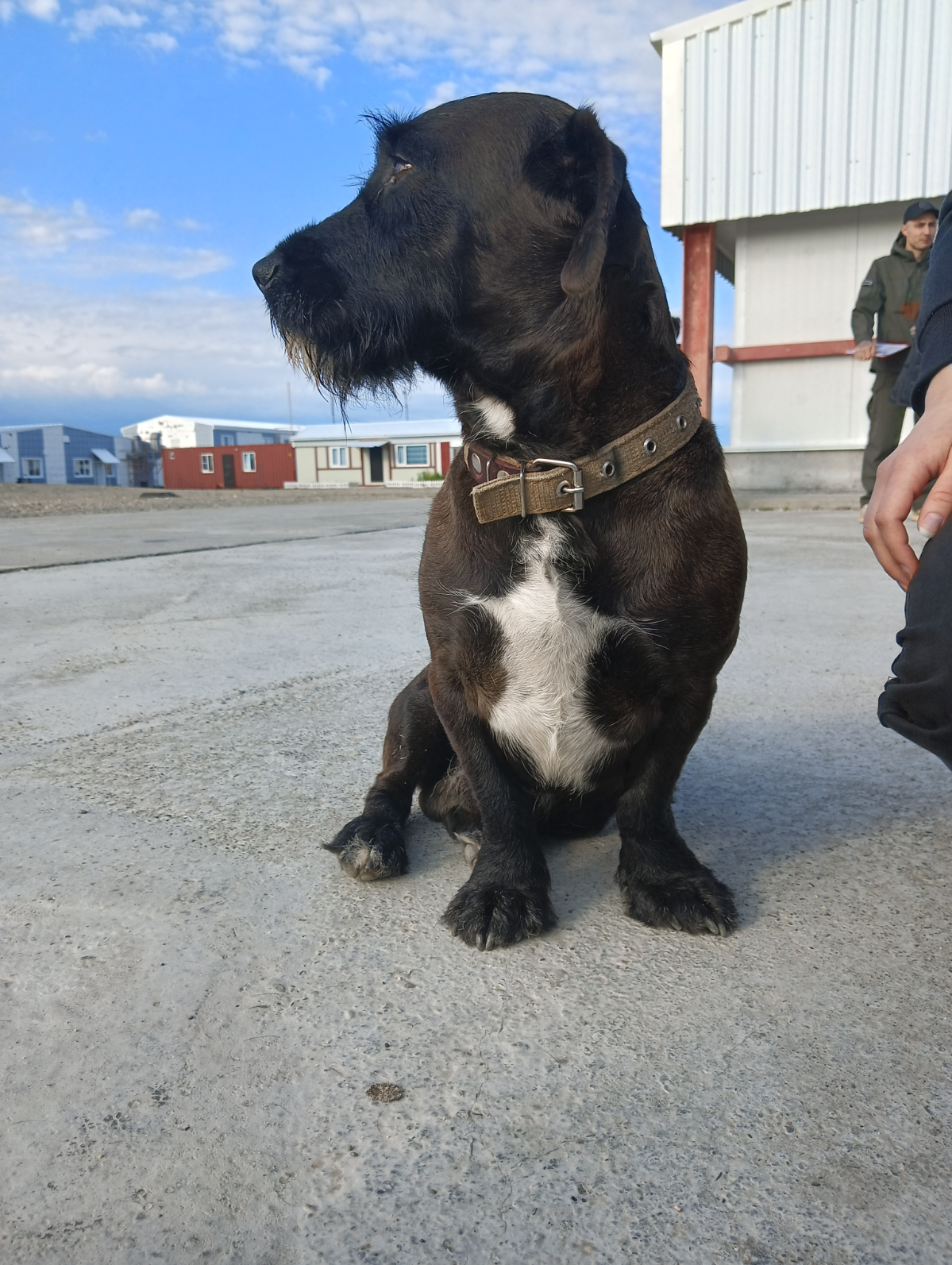 Огромное путешествие | Сетка — социальная сеть от hh.ru