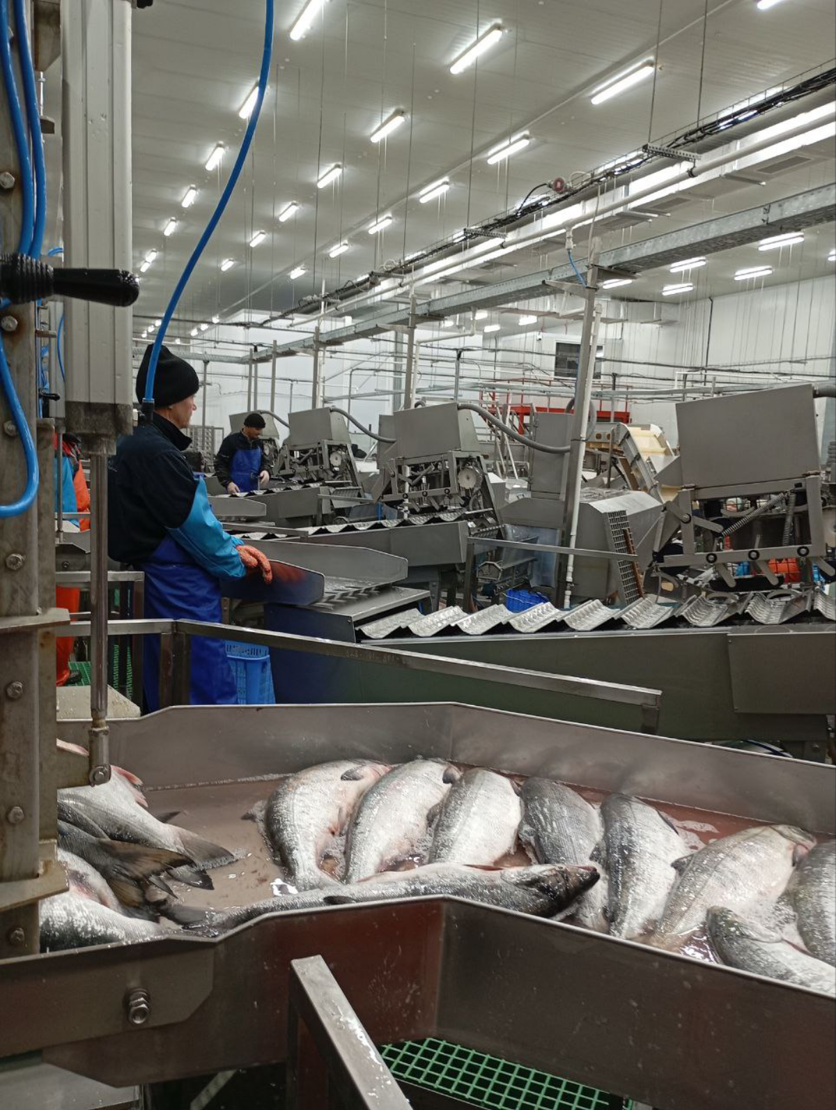 Огромное путешествие | Сетка — социальная сеть от hh.ru