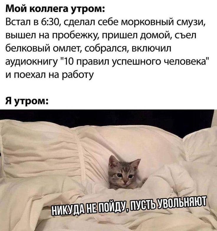 Вторник - день борьбы с инерцией
Мой утренний пост для @tvoibiznesplan и для каждого, кому тяжеловато стало просыпаться в этот мир:
Как не застрять в текучке и начать управлять своей жизнью?
Любой ден... | Сетка — социальная сеть от hh.ru
