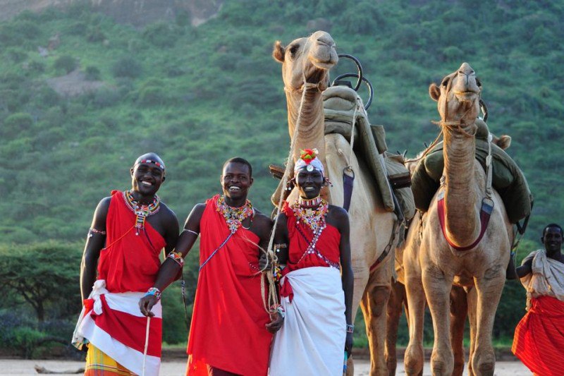 African Safari Adventures
https://procreator.top/2025/08/05/5-jeep-free-african-safari-adventures-you-did-not-know-existed/ | Сетка — социальная сеть от hh.ru
