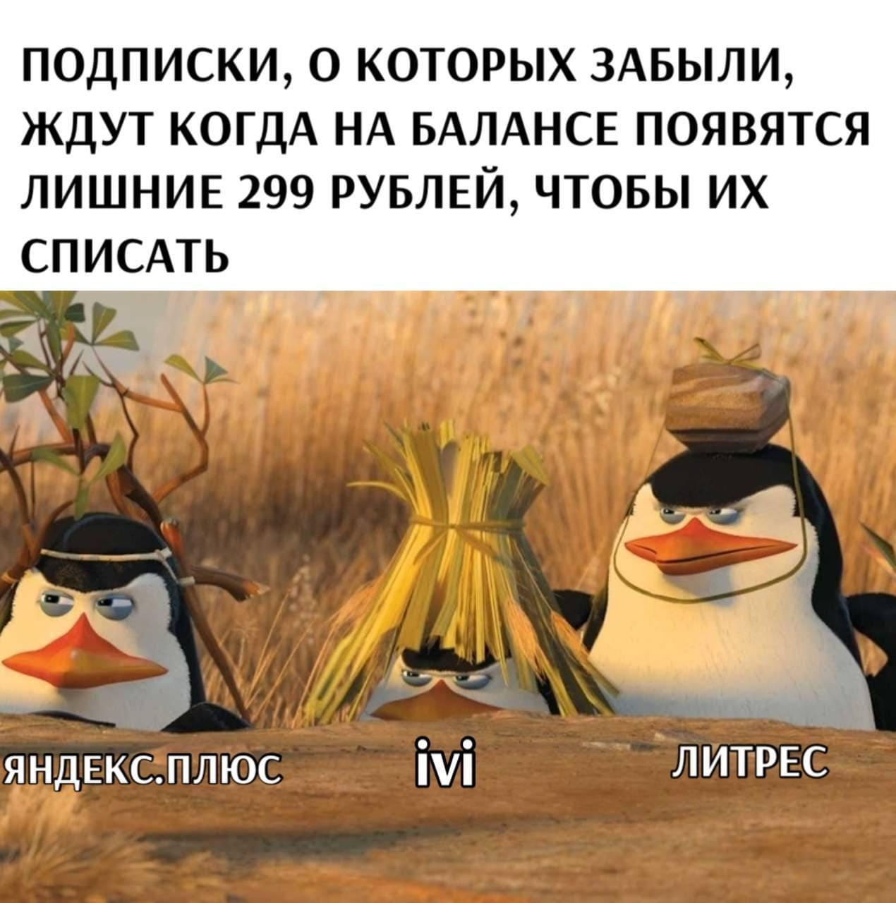 Мониторинг ваших платных подписок, инфографика из текста за пару секунд — и ещё 8 российских стартапов
Битва за «Продукт недели» | Сетка — социальная сеть от hh.ru