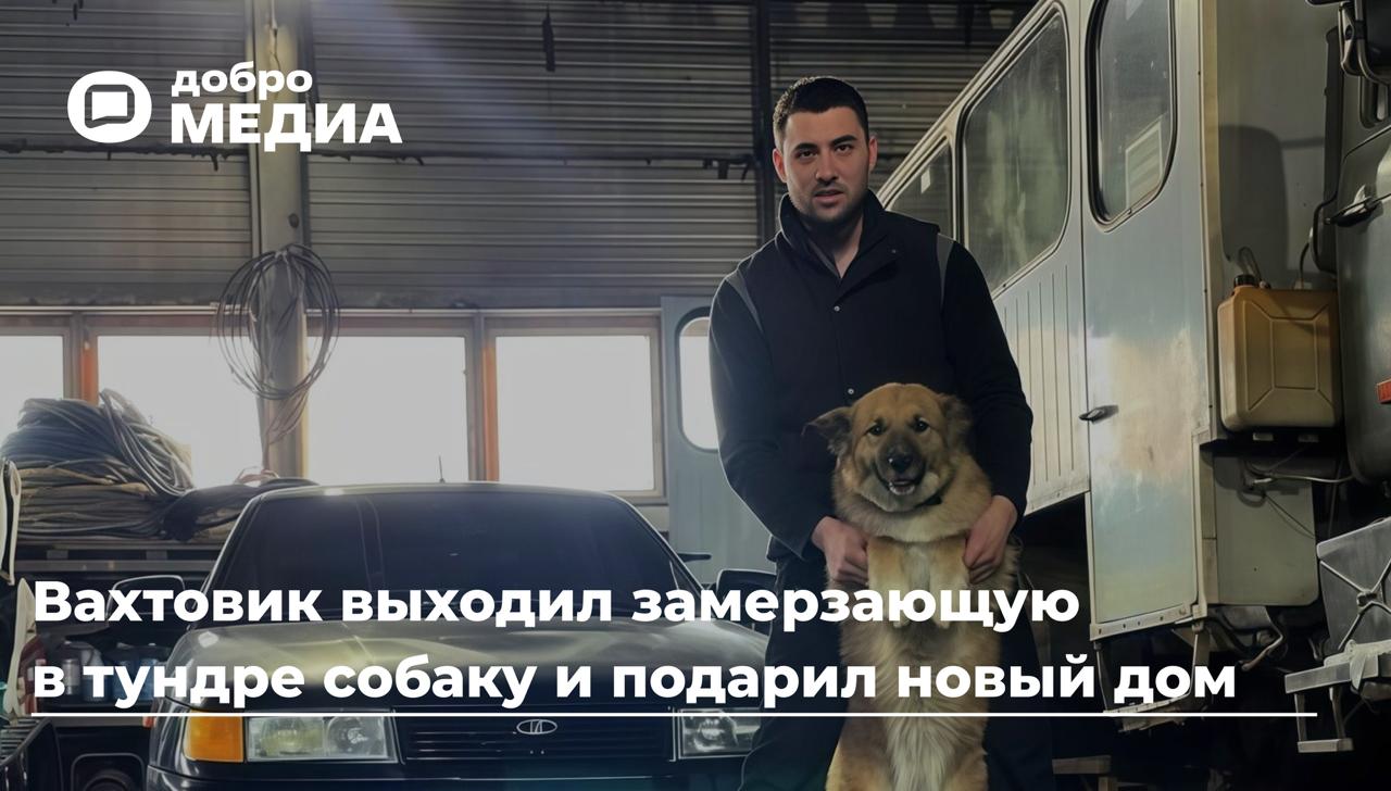 «Мы с ней спасли друг друга»
Андрей жил с другими вахтовиками в Новом Уренгое. Работал на участке в 250 километрах от базы | Сетка — социальная сеть от hh.ru
