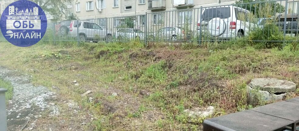 ↗ Почему в одну сторону от дорожки у дома 40, косят откос, а в другую сорняк по метру высотой?
У дома Чкалова 40,уже две недели после урагана, лежит гора поломанных веток, а кто их уберет?
Один берег ... | Сетка — социальная сеть от hh.ru