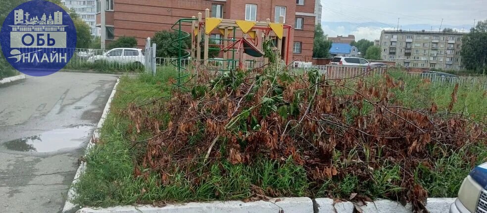 ↗ Почему в одну сторону от дорожки у дома 40, косят откос, а в другую сорняк по метру высотой?
У дома Чкалова 40,уже две недели после урагана, лежит гора поломанных веток, а кто их уберет?
Один берег ... | Сетка — социальная сеть от hh.ru