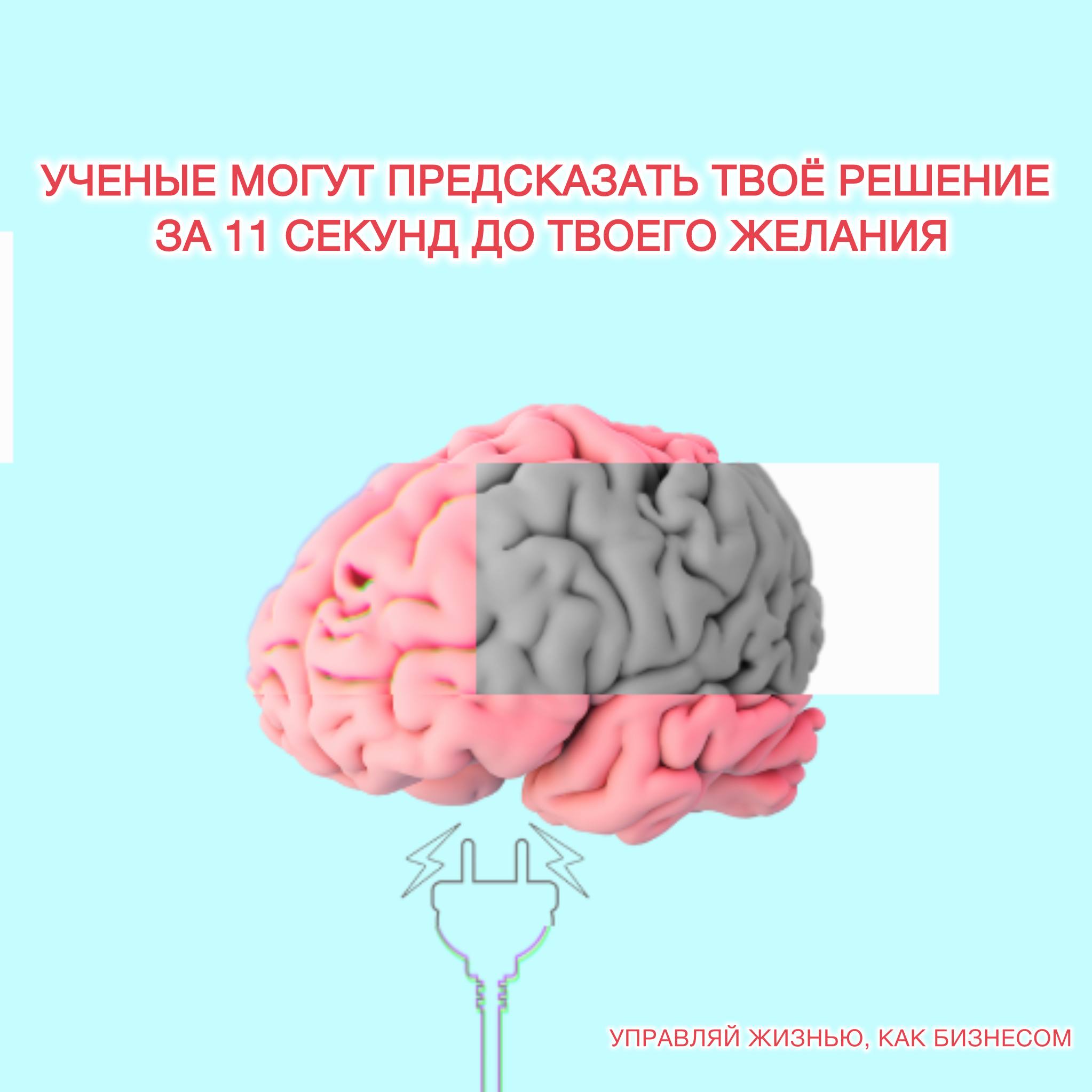 🧠Ученые могут предсказать твоё решение за 11 секунд - даже до твоего желания | Сетка — социальная сеть от hh.ru