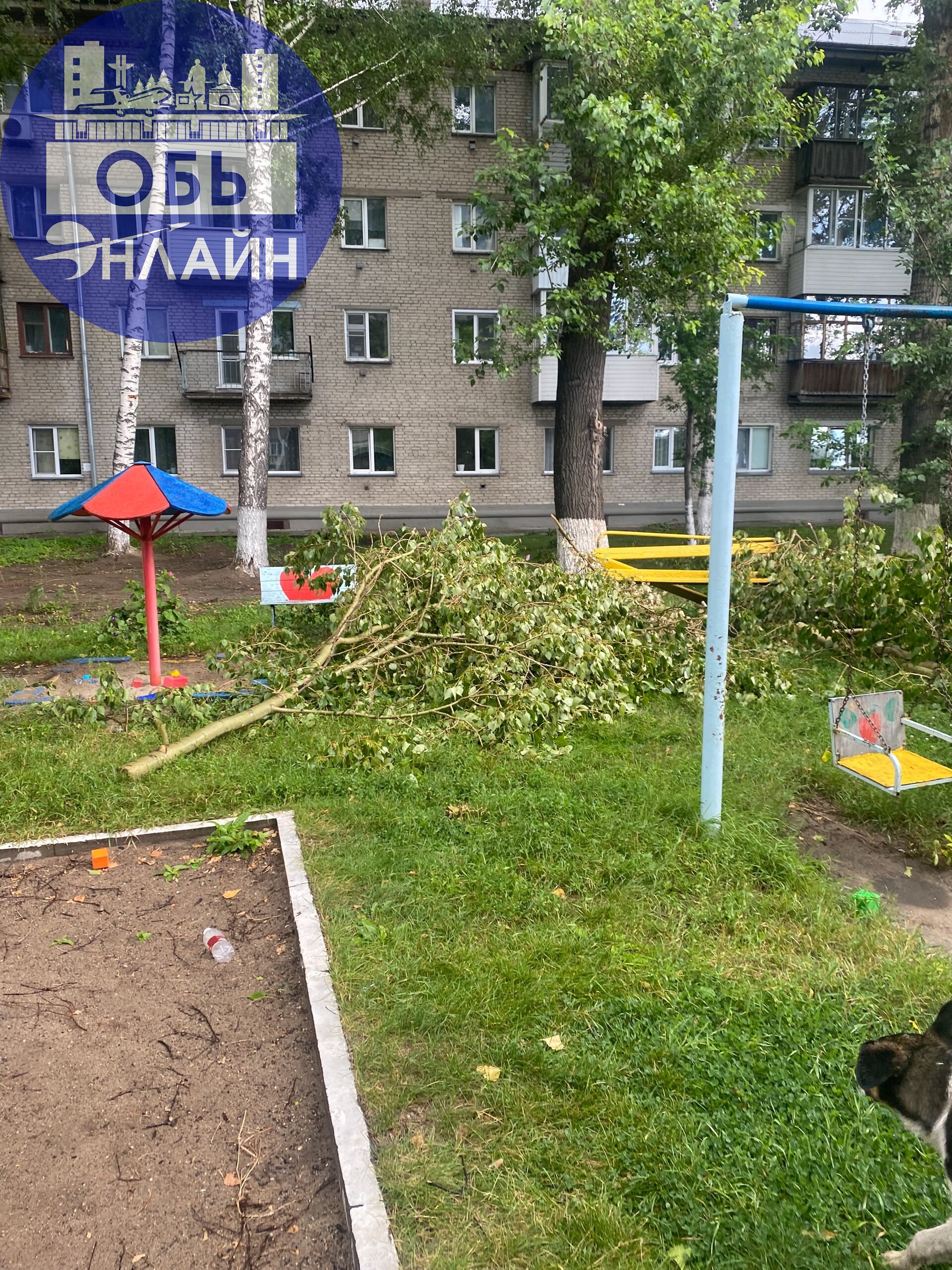 ↗ Вопрос к администрации?! 5 | Сетка — социальная сеть от hh.ru