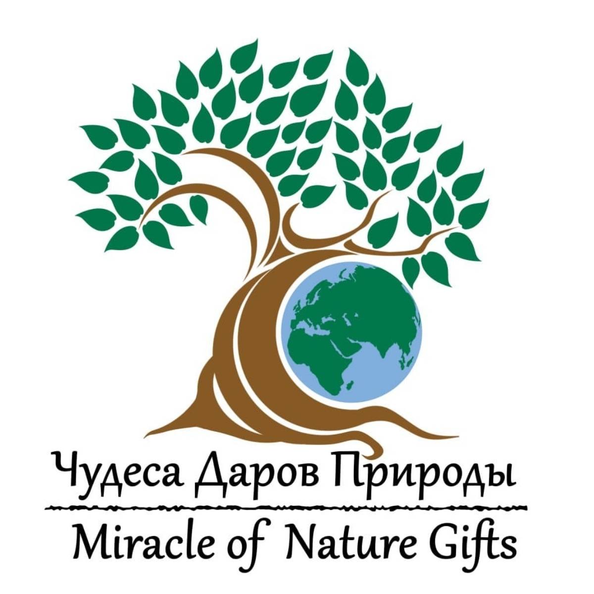 Гульнара Коркмаз | Сетка — социальная сеть от hh.ru