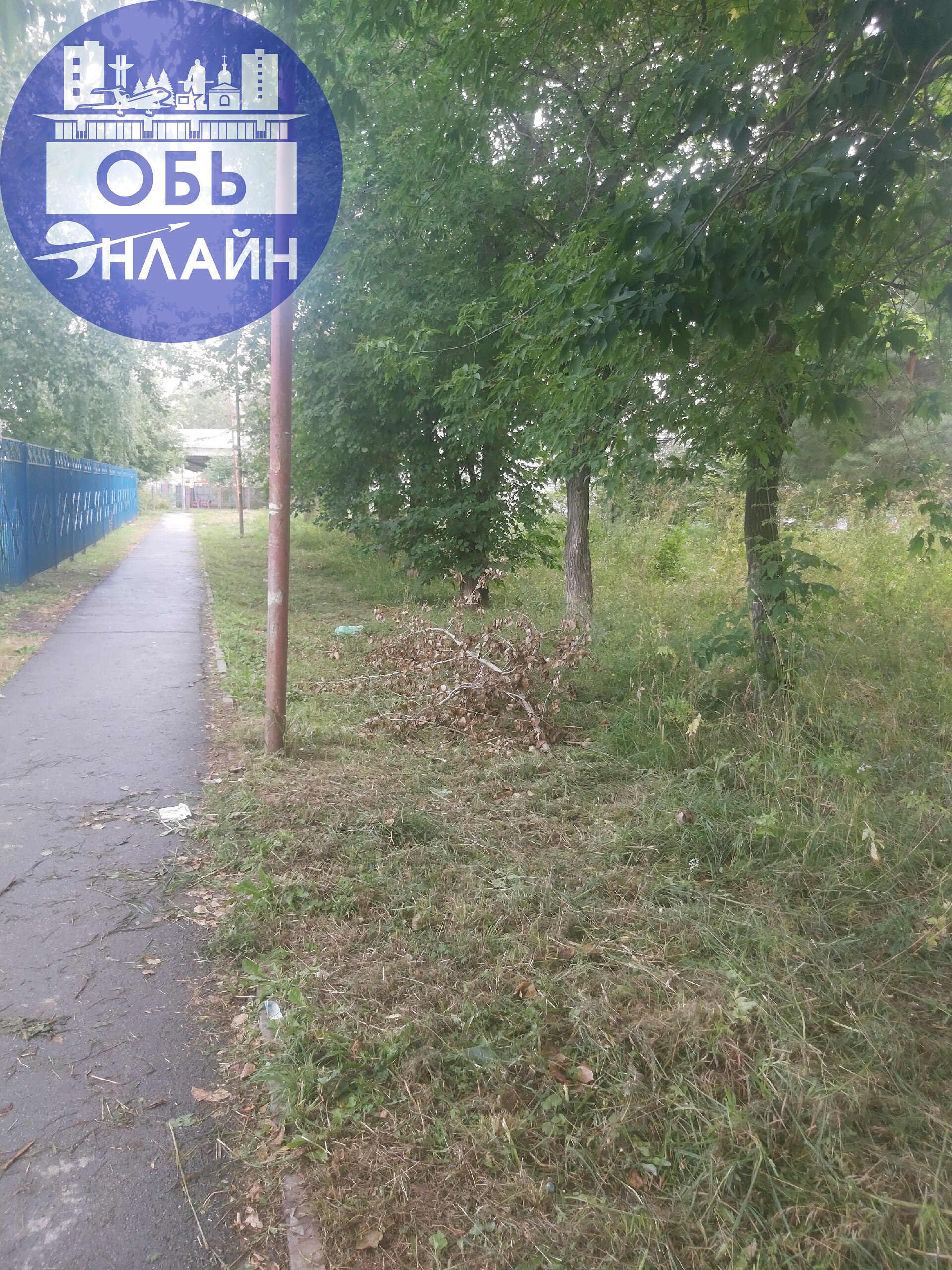↗ Три недели прошло после сильного ветра, до сих пор ничего не убрали, 3 раза администрация отвечала, что уберут, итог на фото.
Между домами по ул. Геодезическая 9, 11, 6Б | Сетка — социальная сеть от hh.ru