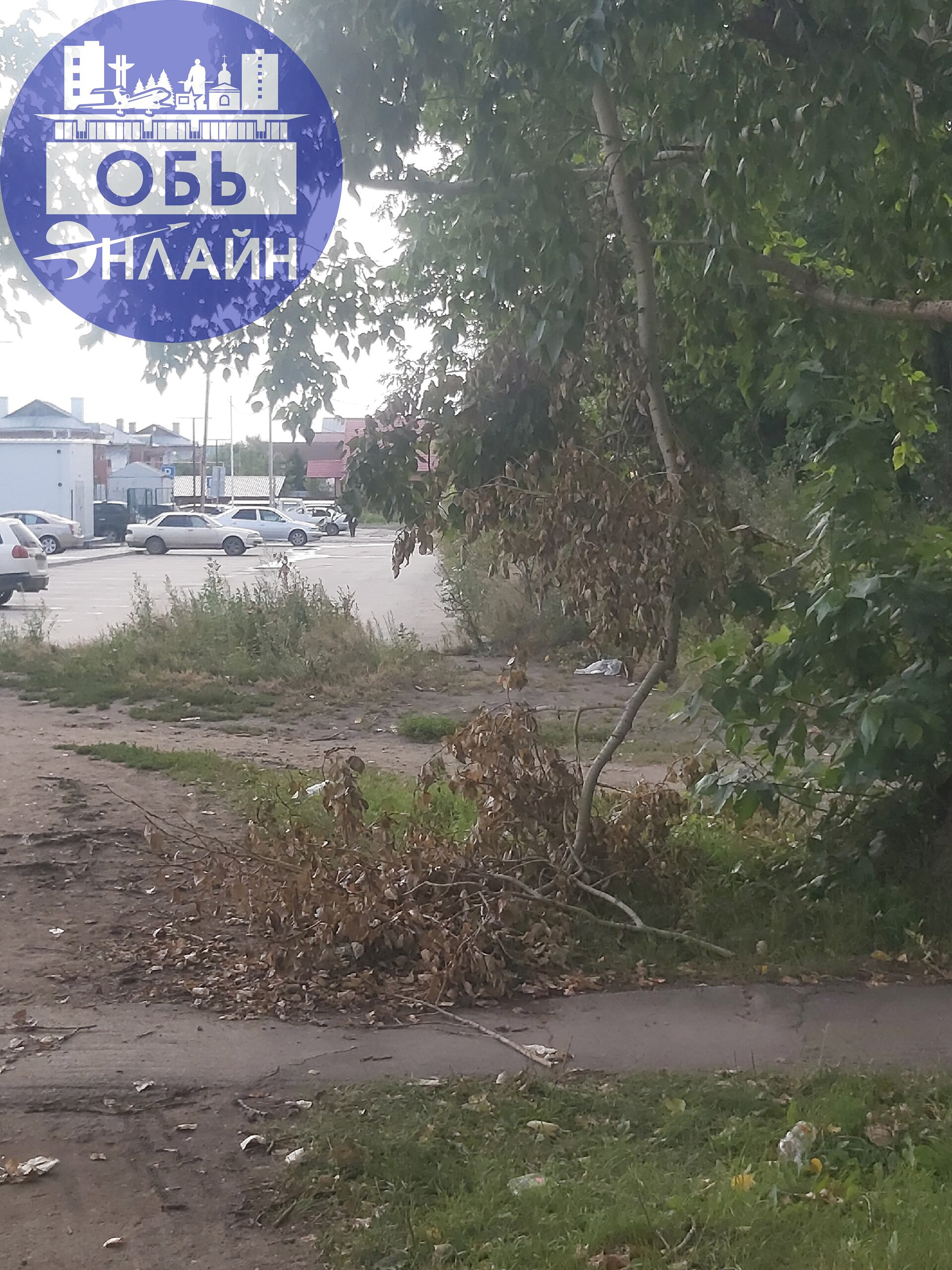 ↗ Три недели прошло после сильного ветра, до сих пор ничего не убрали, 3 раза администрация отвечала, что уберут, итог на фото.
Между домами по ул. Геодезическая 9, 11, 6Б | Сетка — социальная сеть от hh.ru