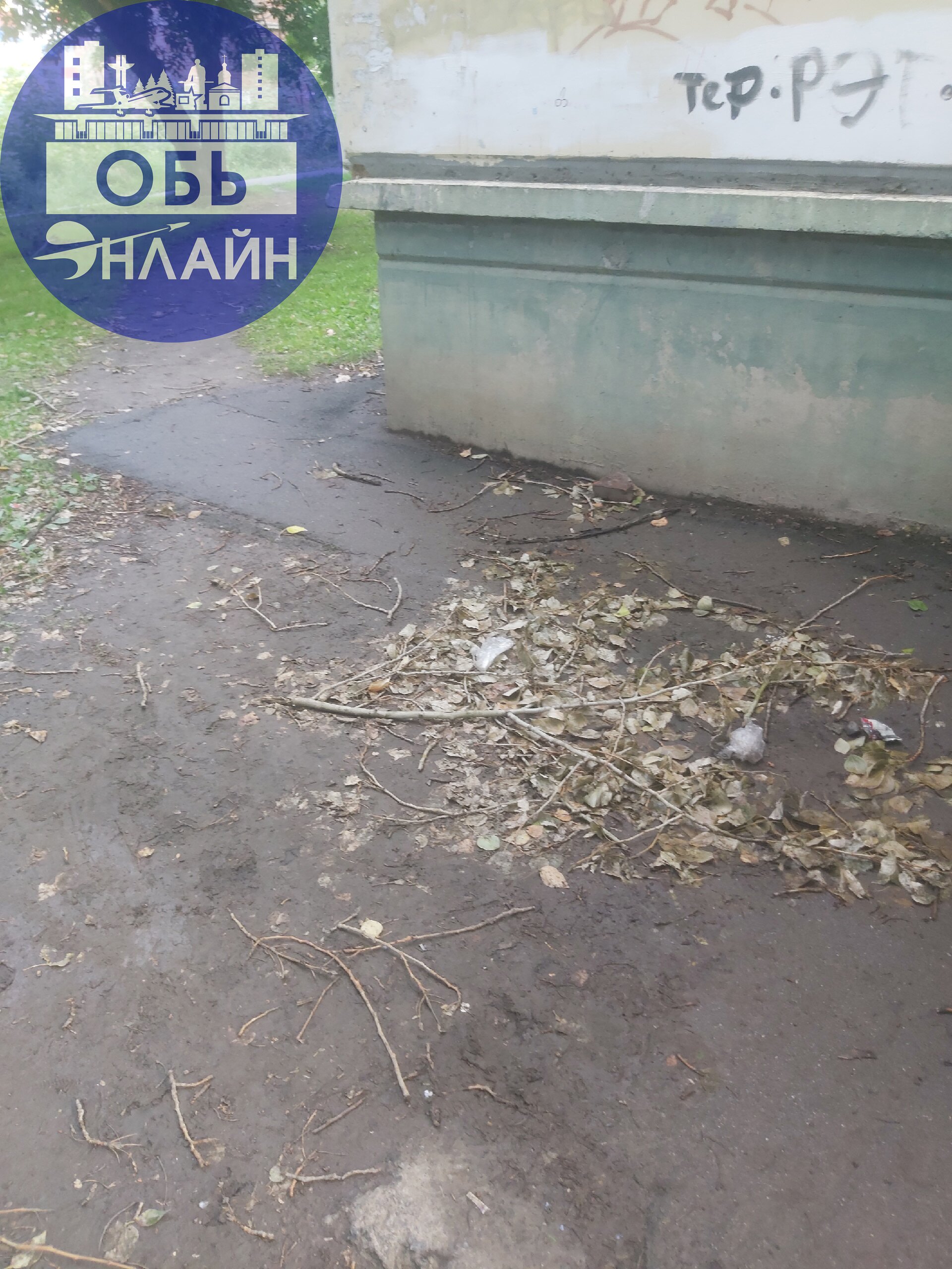 ↗ Три недели прошло после сильного ветра, до сих пор ничего не убрали, 3 раза администрация отвечала, что уберут, итог на фото.
Между домами по ул. Геодезическая 9, 11, 6Б | Сетка — социальная сеть от hh.ru