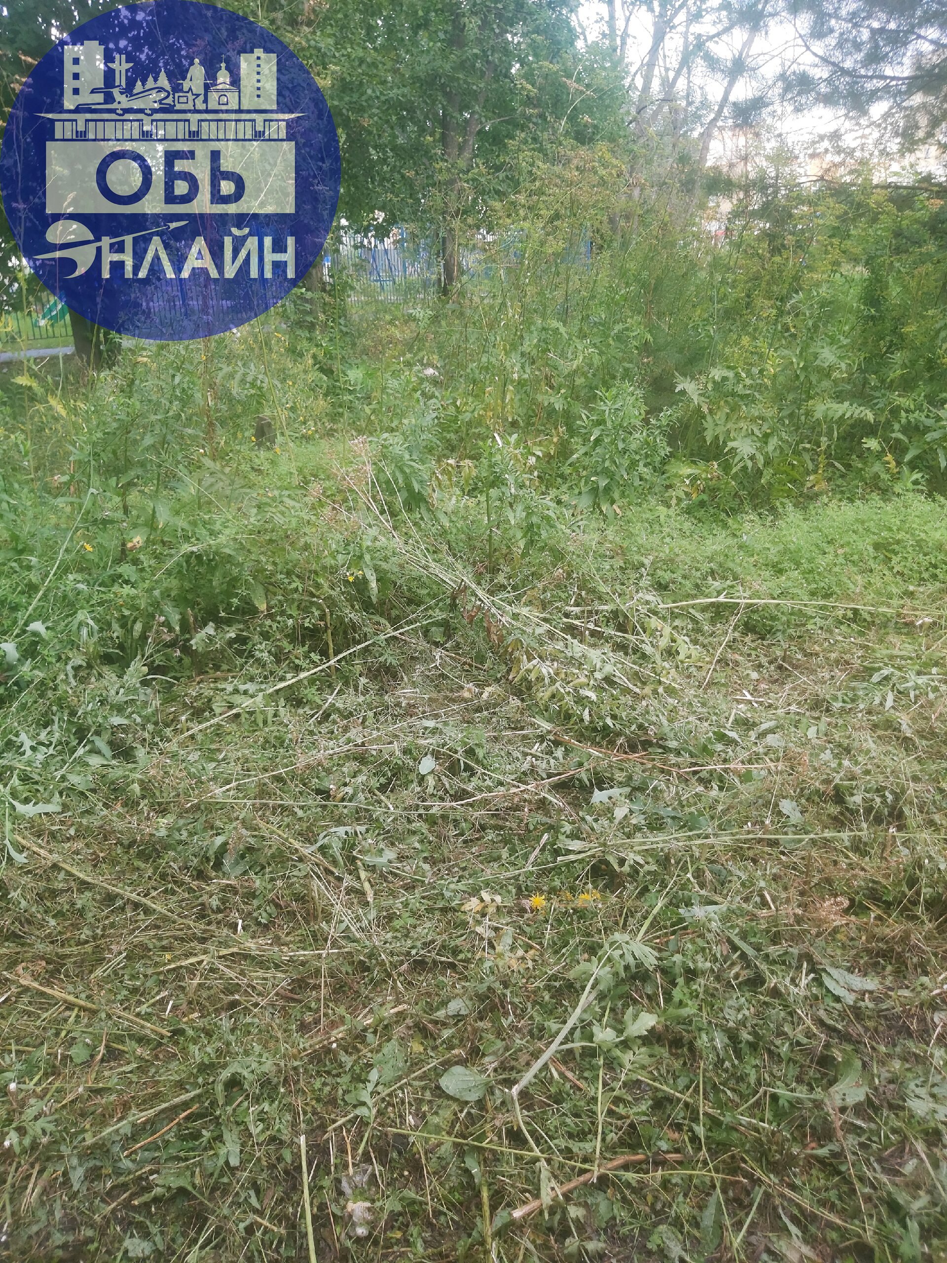 ↗ Вот так в Геодезии МКУ "Городское хозяйство" косит траву👍
vk.com
Подробнее на https://vk.com/ob.gorod
#городобь #городобьонлайн #толмачево | Сетка — социальная сеть от hh.ru