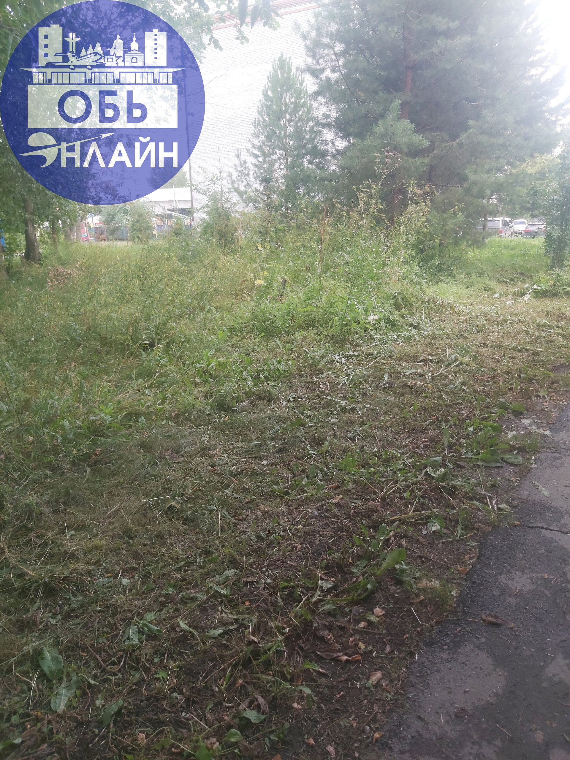 ↗ Вот так в Геодезии МКУ "Городское хозяйство" косит траву👍
vk.com
Подробнее на https://vk.com/ob.gorod
#городобь #городобьонлайн #толмачево | Сетка — социальная сеть от hh.ru