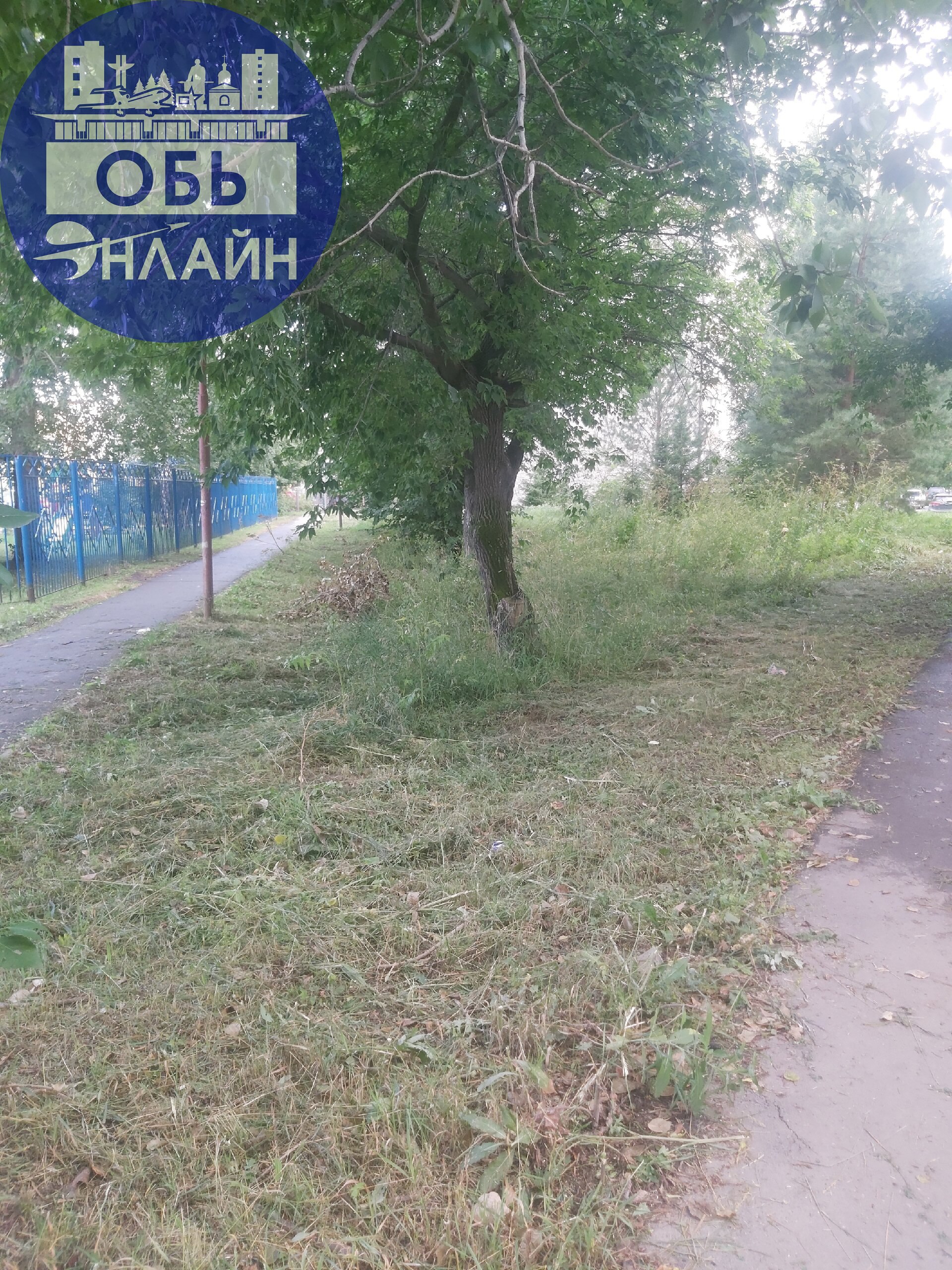 ↗ Вот так в Геодезии МКУ "Городское хозяйство" косит траву👍
vk.com
Подробнее на https://vk.com/ob.gorod
#городобь #городобьонлайн #толмачево | Сетка — социальная сеть от hh.ru