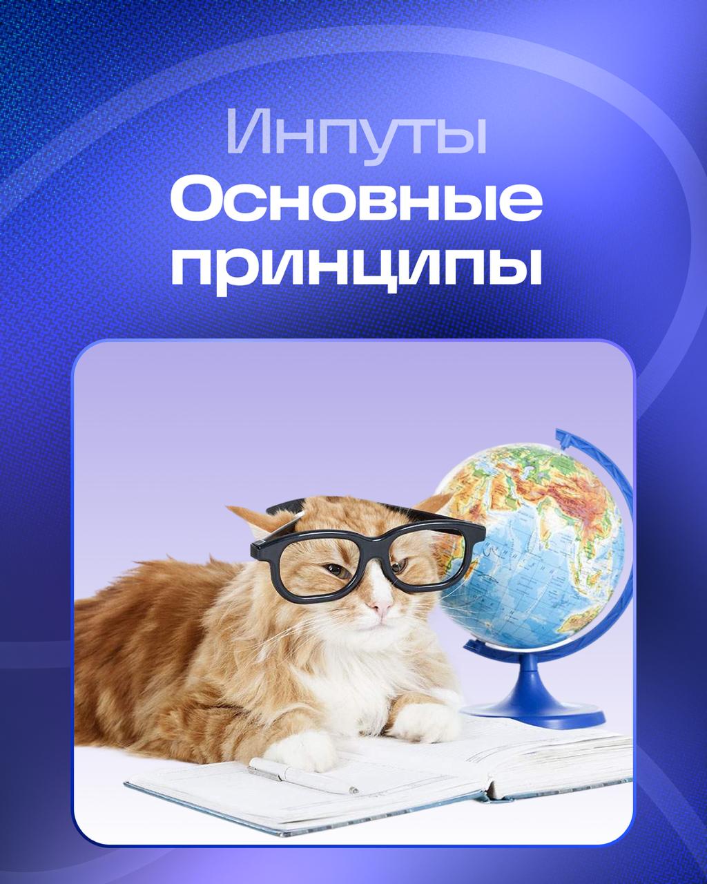 При вычитке инпутов придерживаемся нескольких простых правил. Поделимся некоторыми из них — возможно, вам они тоже пригодятся! | Сетка — социальная сеть от hh.ru