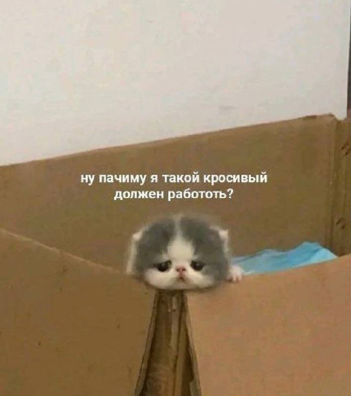 Всем кросивым напоминаем, что сегодня только вторник🥲 | Сетка — социальная сеть от hh.ru