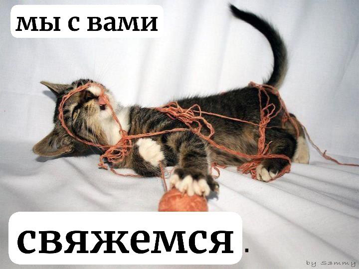 Будни найма | Сетка — социальная сеть от hh.ru