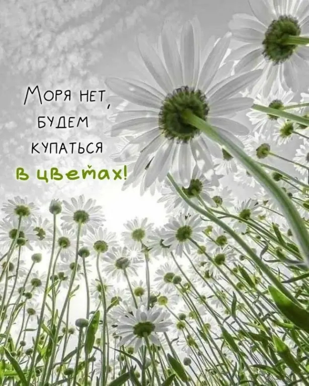 Всем бодрого | Сетка — социальная сеть от hh.ru