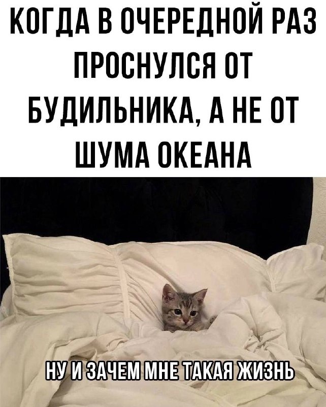 Среда - День силы решений
Как принять правильное решение, когда всё неочевидно?
Среда - это экватор недели. И часто день, когда ты зависаешь между "пока рано" и "уже поздно" | Сетка — социальная сеть от hh.ru