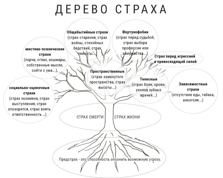 Дерево страхов | Сетка — социальная сеть от hh.ru