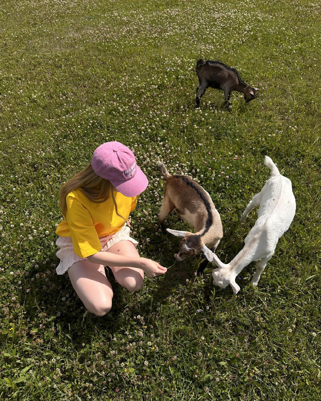 Жизнь за пределами проектов – есть. Настоящие GOAT под августовским солнцем и Вероника в футболке тру-овер в балгородном желтом цвете – найдете на сайте и в разделе кастом до конца августа. | Сетка — социальная сеть от hh.ru