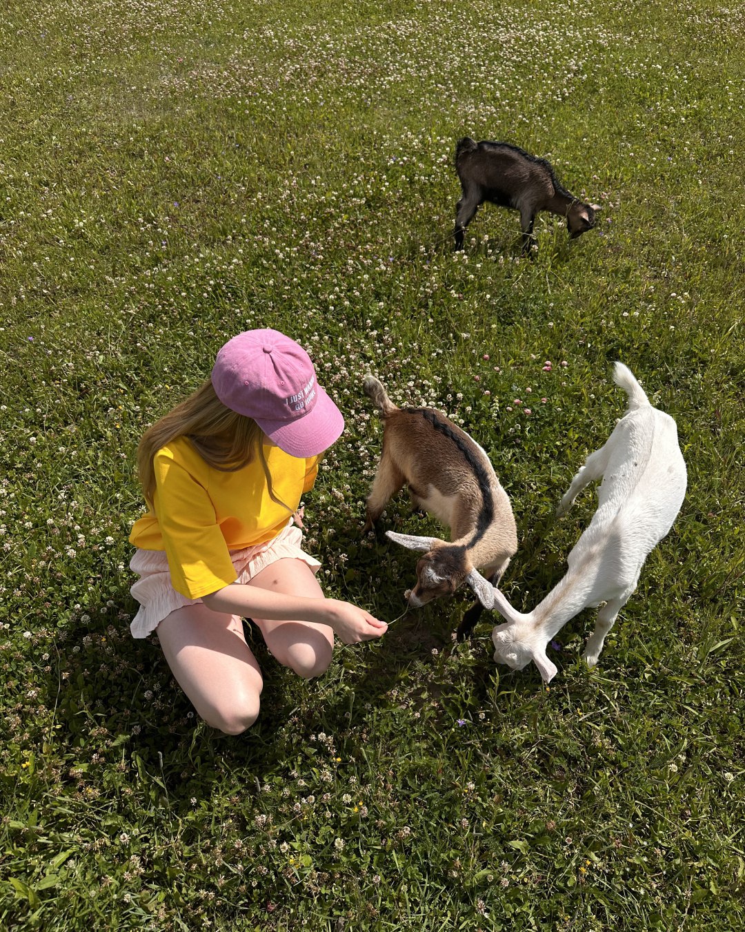 Жизнь за пределами проектов – есть. Настоящие GOAT под августовским солнцем и Вероника в футболке тру-овер в балгородном желтом цвете – найдете на сайте и в разделе кастом до конца августа. | Сетка — социальная сеть от hh.ru