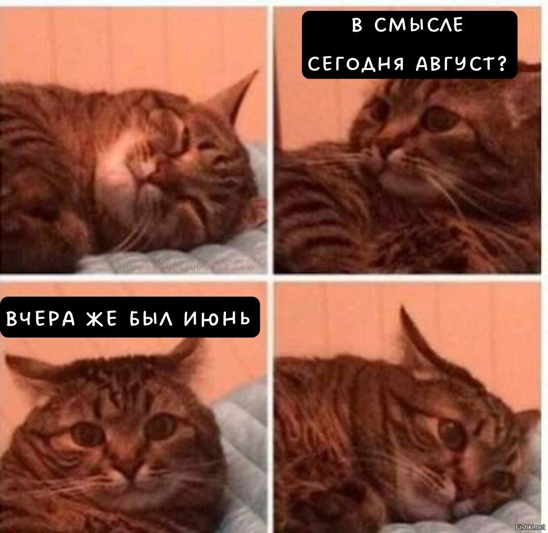 ☀️ Последний месяц лета, и все как будто с ума сходят
«Осталось всего 25 дней…»
«Я так и не поехала на море!»
«Лето прошло мимо, как и моя молодость»
«Где я была, когда июль жил своей жизнью?!»
Каждый... | Сетка — социальная сеть от hh.ru