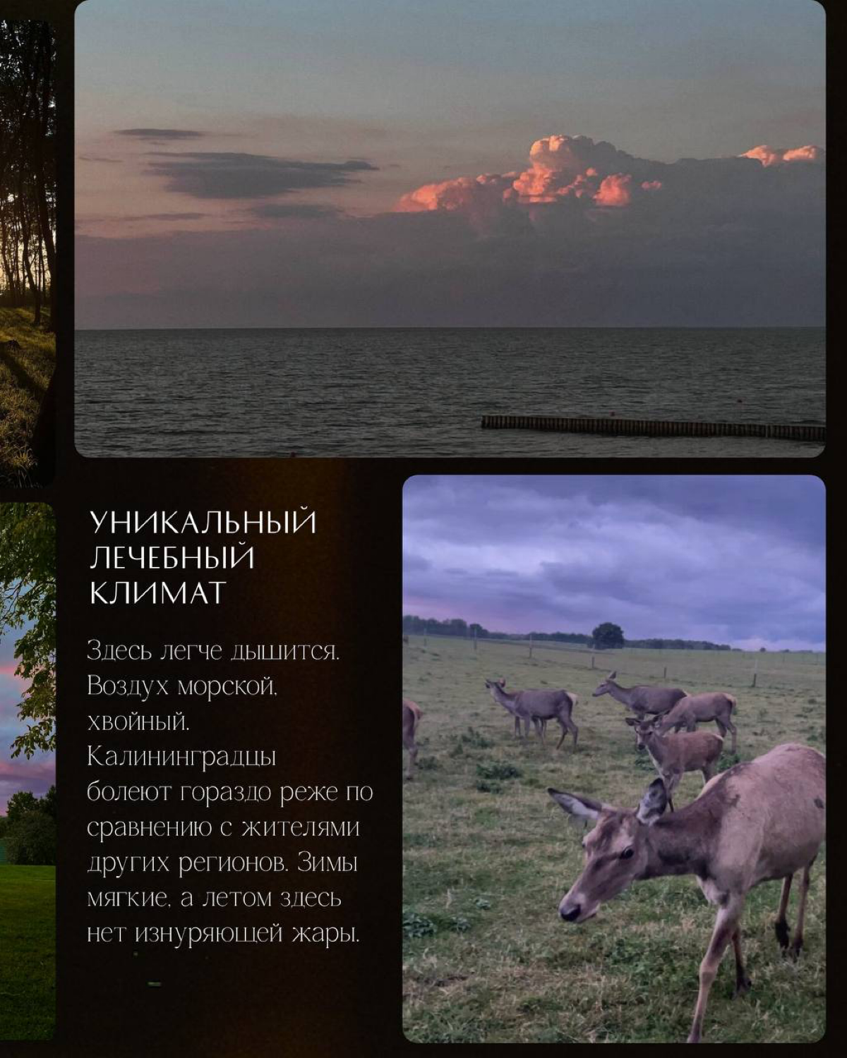 Почему люди переезжают в Калининград — и остаются навсегда? | Сетка — социальная сеть от hh.ru