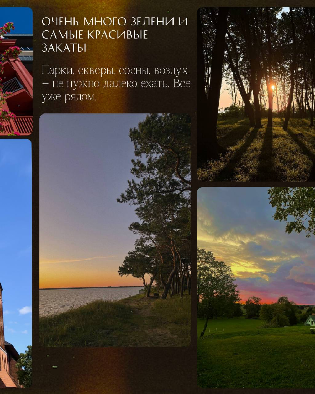 Почему люди переезжают в Калининград — и остаются навсегда? | Сетка — социальная сеть от hh.ru