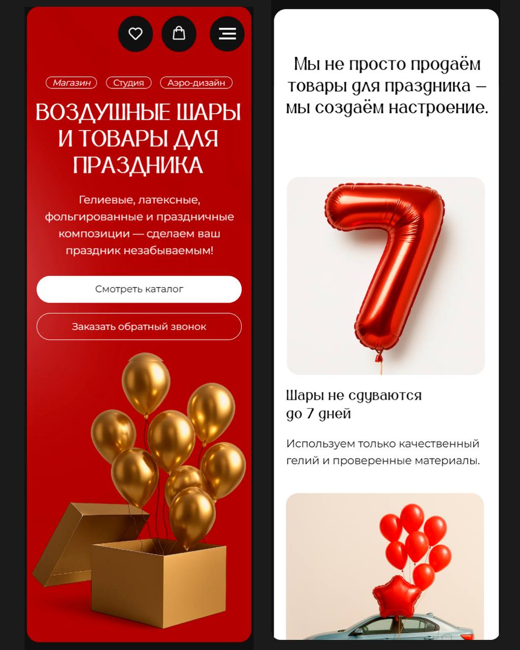 Cайт для «АэроСтудии» — бренда, который превращает воздух в праздник | Сетка — социальная сеть от hh.ru