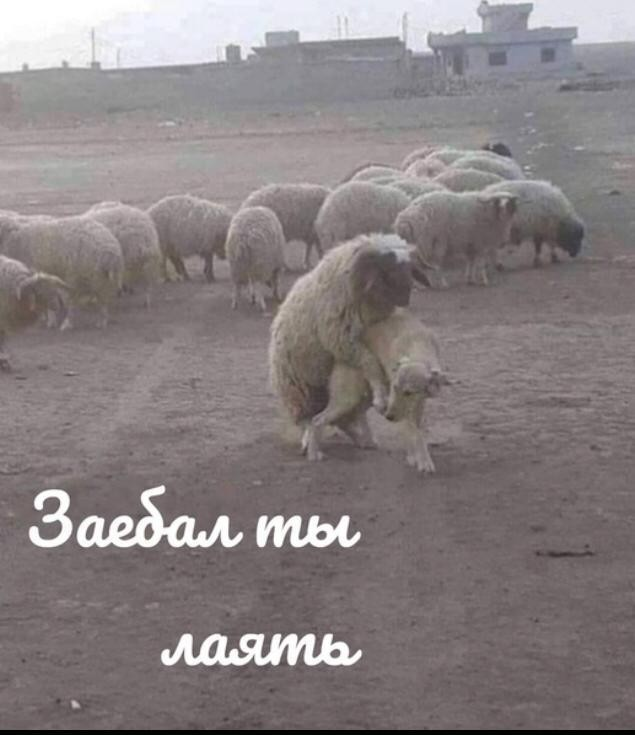 🙄🤔 | Сетка — социальная сеть от hh.ru