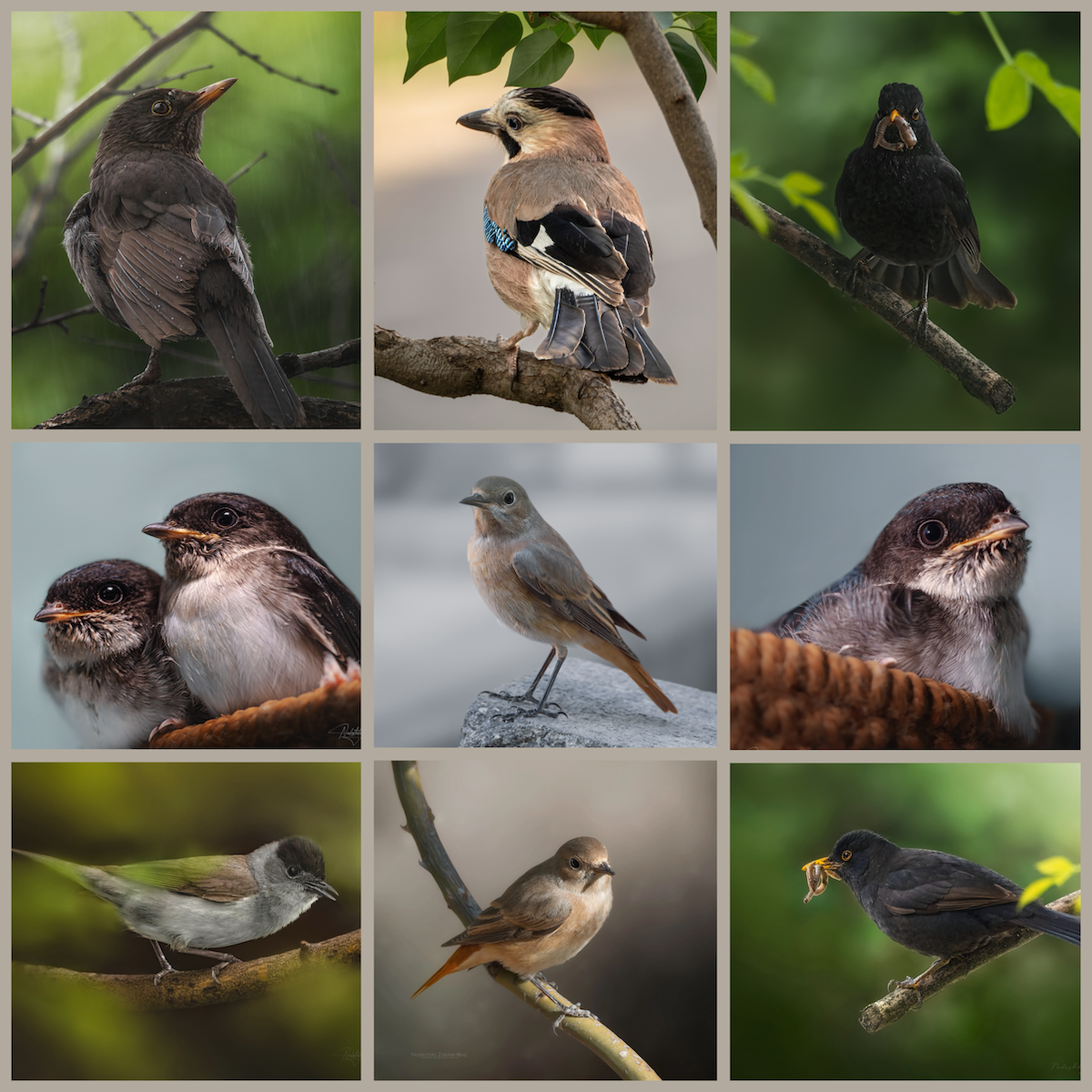 Работу не ищу, если она захочет, найдет меня самаツ))) | Сетка — социальная сеть от hh.ru