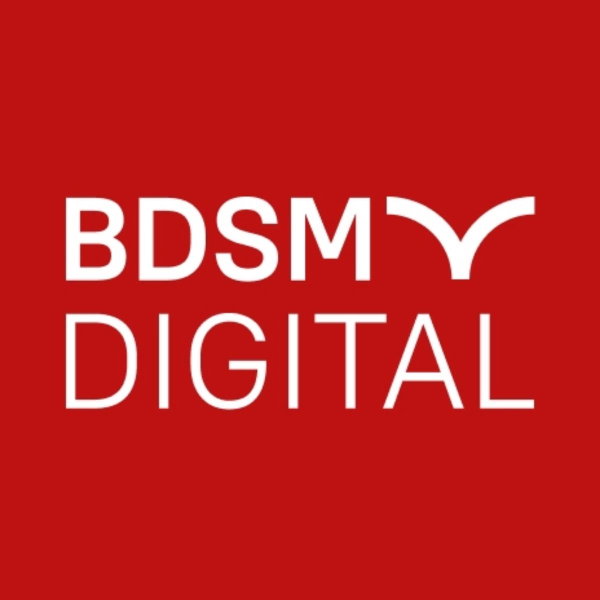 Bdsm Digital | Сетка — социальная сеть от hh.ru