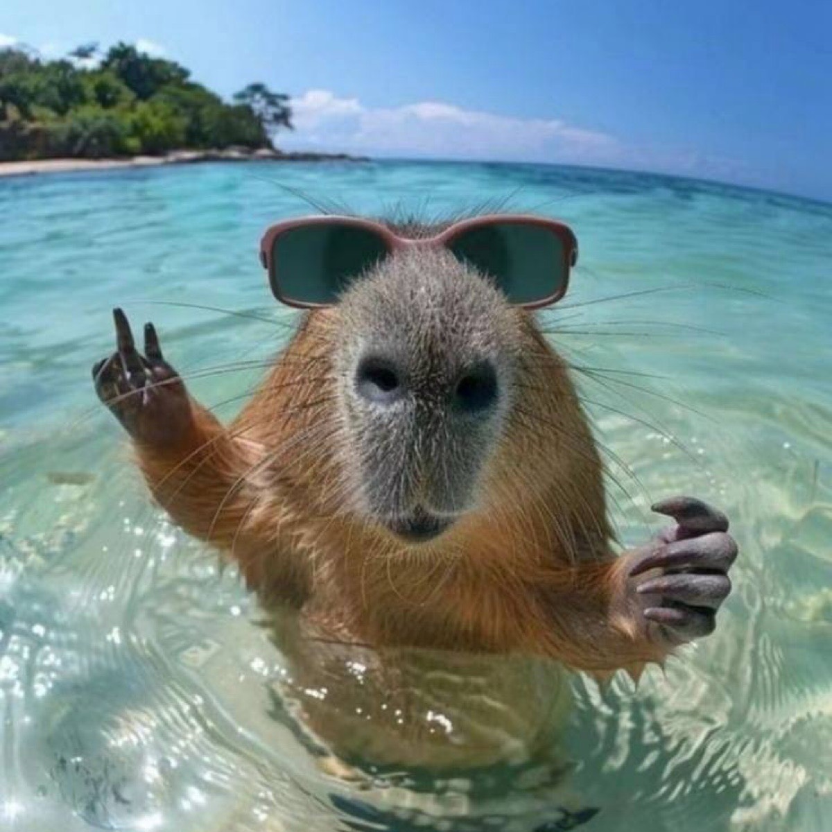 Роберт Шульц | Сетка — социальная сеть от hh.ru