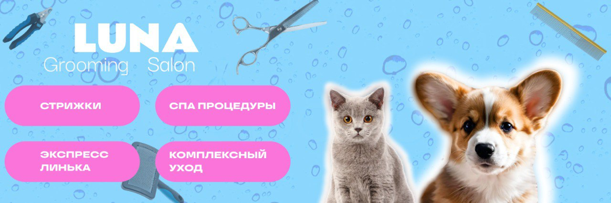 Мои первые работы🌷 | Сетка — социальная сеть от hh.ru
