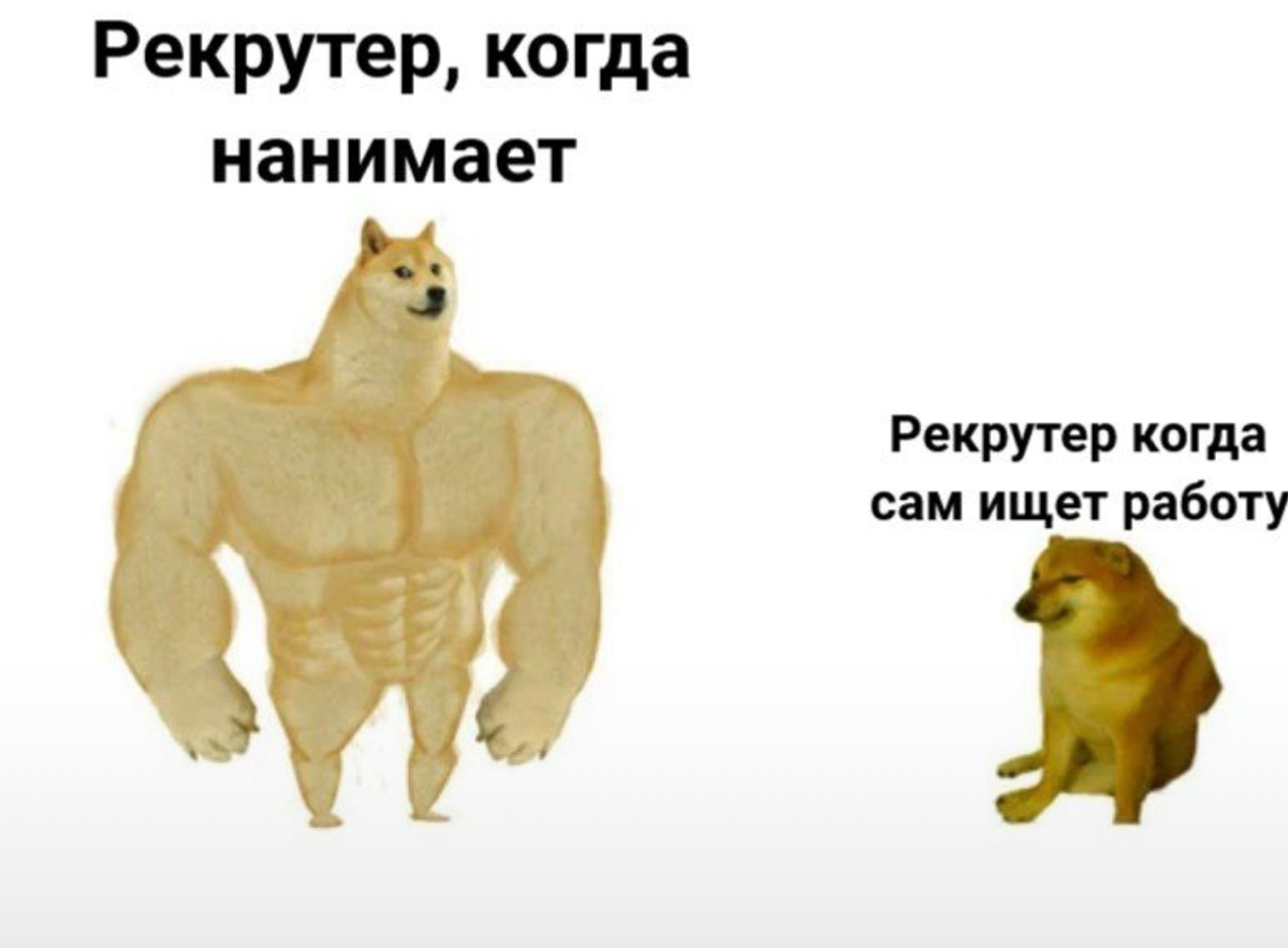 Рекрутер в поиске работы | Сетка — социальная сеть от hh.ru
