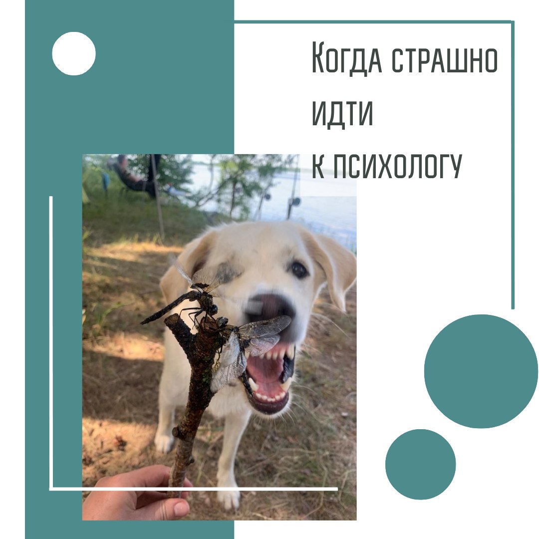 Зачем мне к психологу, я что, сам не справлюсь? Что, Петя ходит? Ну он псих – ему надо, а мне – нет! Не всегда так категорично, конечно, но часто люди с недоверием и неохотой относятся к идее обратить... | Сетка — социальная сеть от hh.ru