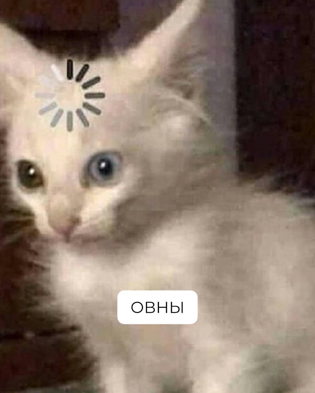Знаки зодиака на работе, как коты 🐾
Продолжение в комментариях 👇🏻 | Сетка — социальная сеть от hh.ru