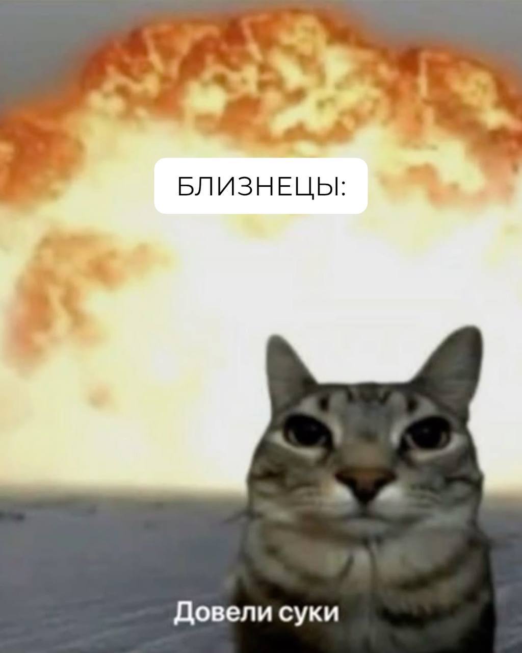 Знаки зодиака на работе, как коты 🐾
Продолжение в комментариях 👇🏻 | Сетка — социальная сеть от hh.ru