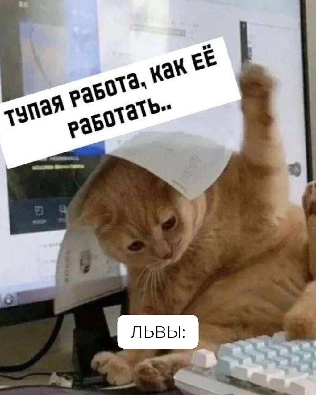Знаки зодиака на работе, как коты 🐾
Продолжение в комментариях 👇🏻 | Сетка — социальная сеть от hh.ru