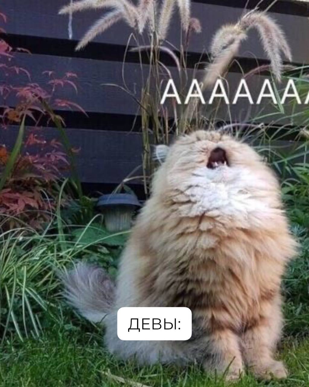Знаки зодиака на работе, как коты 🐾
Продолжение в комментариях 👇🏻 | Сетка — социальная сеть от hh.ru