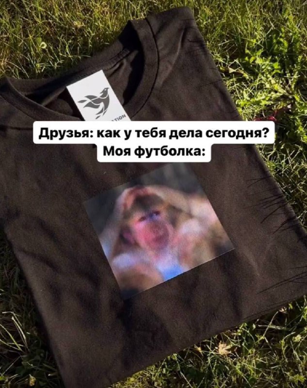 Отечественные дизайнеры выкатили мерч для всех новеньких сотрудников | Сетка — социальная сеть от hh.ru